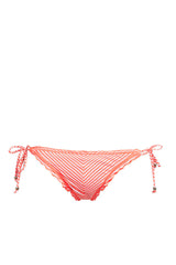 Fluorescent Coral|