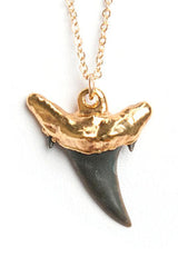 Mini Shark Tooth Necklace